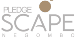 Pledge Scape, Negombo